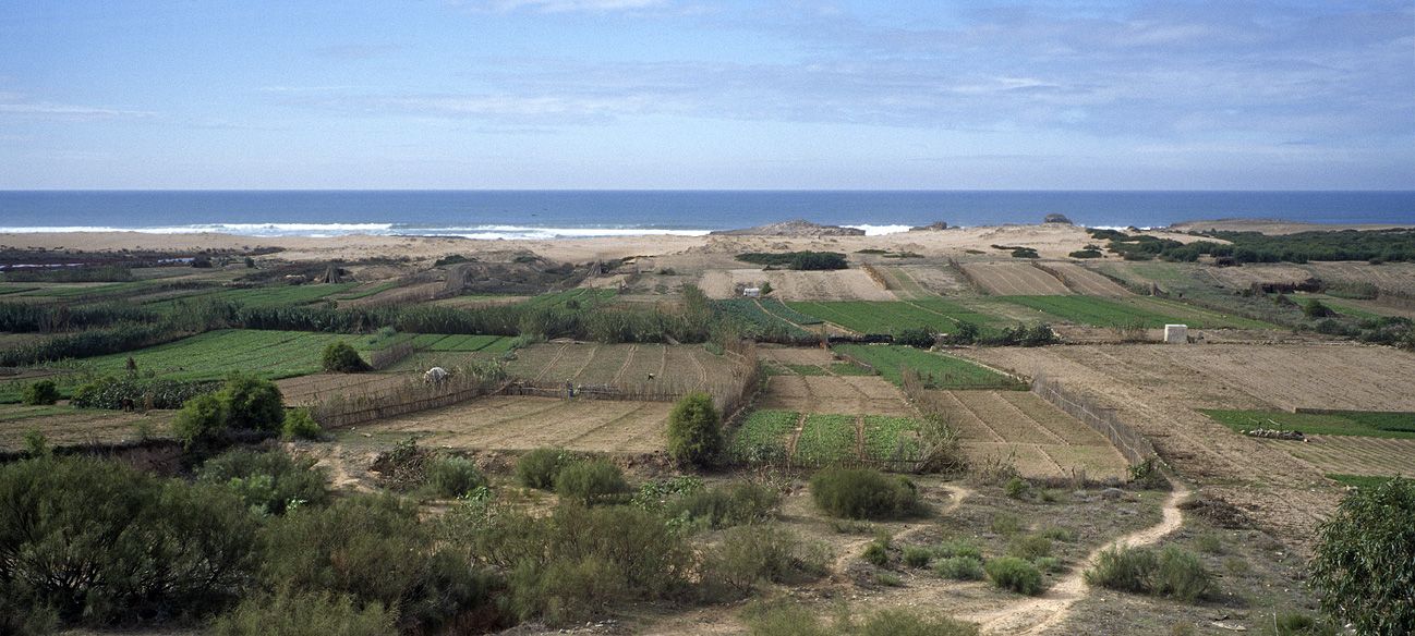 mar0410_020al2010 pano.jpg - côte Safi à  El Jadida, octobre-novembre 2004 au sud de Oualidia cultures maraîchères Ektachrome 100 GX